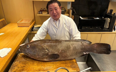 九州五島より重量25キログラムを超える極上のクエが届きました